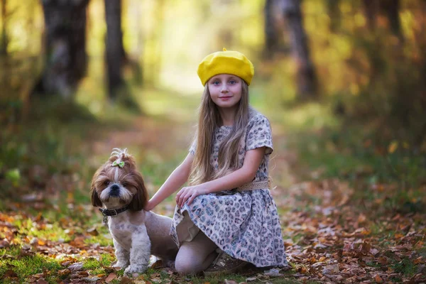 カメラに求めて紅葉森の背景にたわごと津犬と黄色ベレー帽の少女の肖像画 — ストック写真