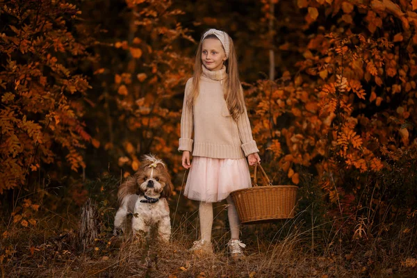 Petite Fille Avec Panier Chien Dans Les Bois Ramassant Des — Photo