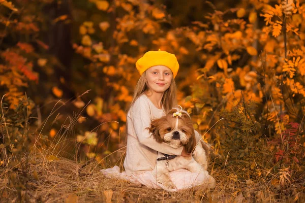 Lief Meisje Een Gele Baret Knuffelen Hond Shih Tzu Herfst — Stockfoto