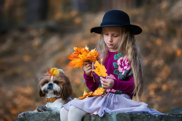 秋のかえでの葉の花輪を編む帽子の甘い女の子 — ストック写真