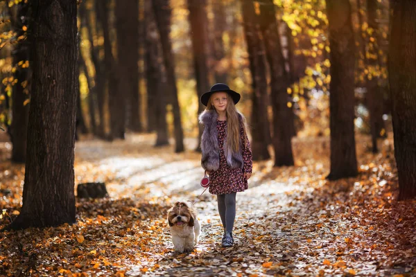 Sweet Beautiful Girl Hat Walking Dog Autumn Park — Stock Photo, Image