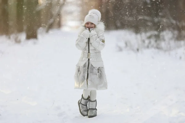 Bella Ragazza Carina Passeggiate Nei Boschi Una Giornata Invernale Innevata — Foto Stock