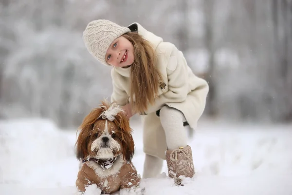 Mooi Meisje Met Haar Hond Sneeuw Winter — Stockfoto