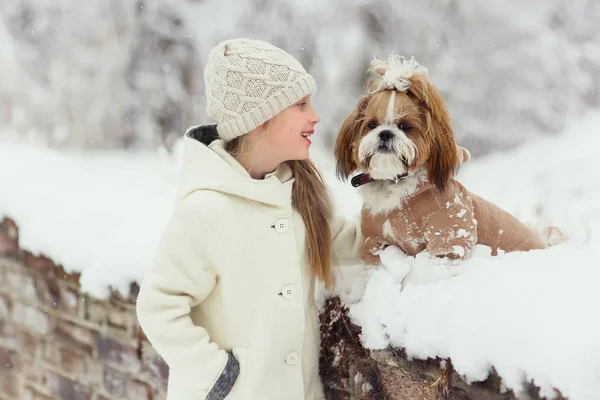 Mooi Meisje Met Haar Hond Sneeuw Winter — Stockfoto