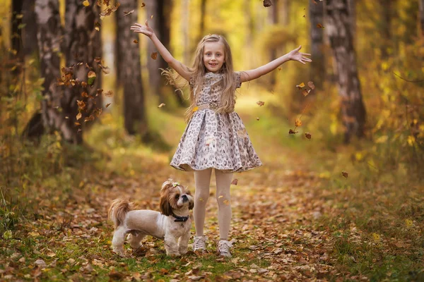 秋の公園で犬とかわいい女の子 落ち葉の中を犬が歩いている素敵な子供 幸せな子供時代 — ストック写真