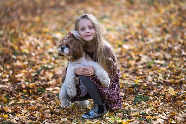 Portret Van Een Schattig Meisje Met Haar Geliefde Hond Herfst — Stockfoto