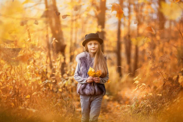 Retrato Outono Uma Menina Bonita Chapéu Menina Anos Idade Caminha — Fotografia de Stock