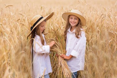 Güneş batarken yaz tarlasında saman şapkalı, beyaz elbiseli, sarı saçlı şirin küçük kız kardeşler. Neşeli kız arkadaşlar yazın tadını çıkarın.