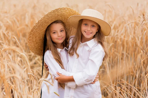 Linda Niñas Hermanas Con Pelo Rubio Campo Verano Atardecer Vestidos —  Fotos de Stock