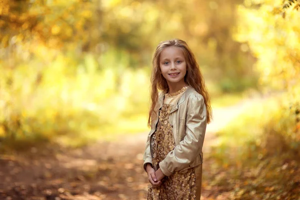 Herfst Portret Van Schattige Glimlachende Kleine Meisje Kind Bladeren Het — Stockfoto