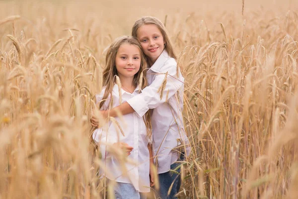 Mignonnes Petites Filles Soeurs Aux Cheveux Blonds Dans Champ Été — Photo