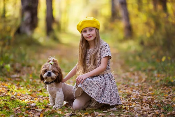 Симпатичная Девушка Желтом Берете Обнимает Собаку Цзы Осеннем Лесу Девушка — стоковое фото