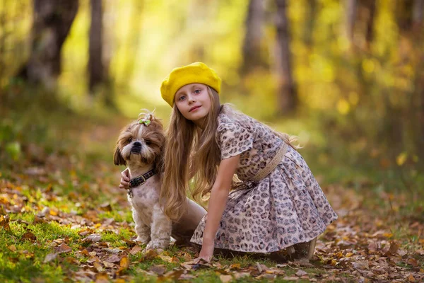 黄色のベレー帽のかわいい女の子は 秋の森の中でShih Tzu犬を抱いています 女の子は秋の公園で犬と一緒に歩く — ストック写真