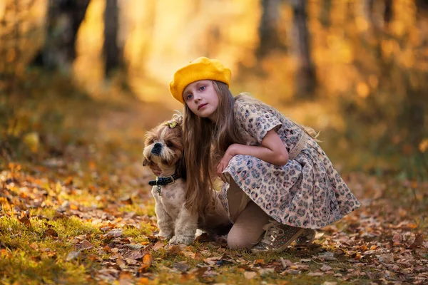 Cute Girl Yellow Beret Hugs Shih Tzu Dog Autumn Forest — Stock Photo, Image