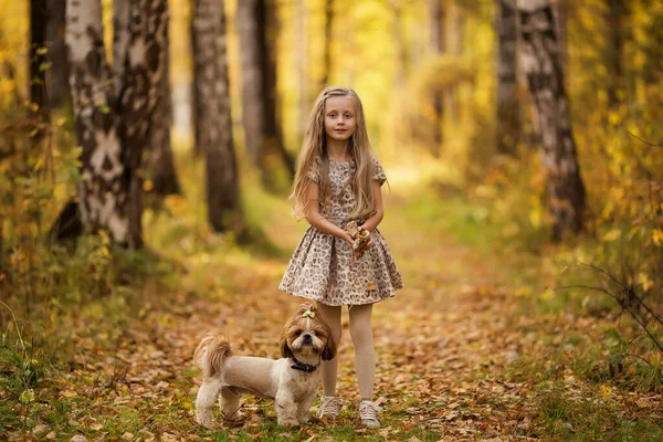 Leuk Klein Meisje Met Haar Hond Het Herfstpark Heerlijk Kind — Stockfoto