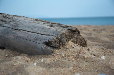 Kumsaldaki kumsalda yıllanmış ahşap deniz pelerini