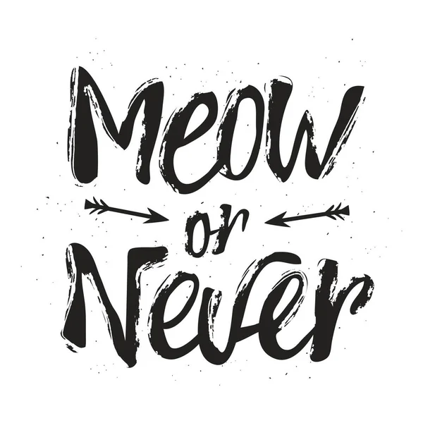 Inspirational Typography Black White Poster Text Meow Never Hipster Style — Stock Vector