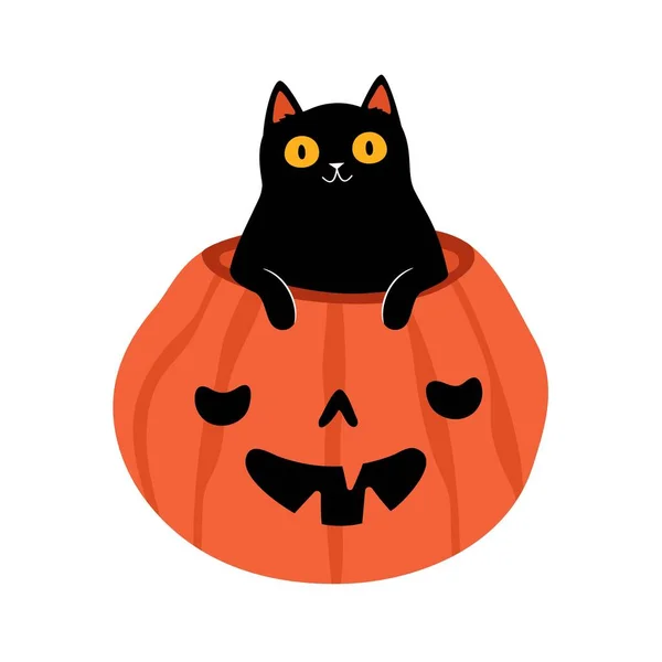 Diseño Divertido Estampado Halloween Con Negro Sentado Calabaza Naranja Ilustración — Archivo Imágenes Vectoriales