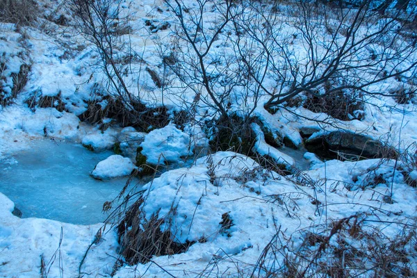 冬の雪の森川の水 — ストック写真