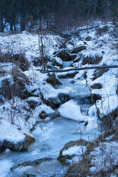 冬の雪の森川の水 — ストック写真