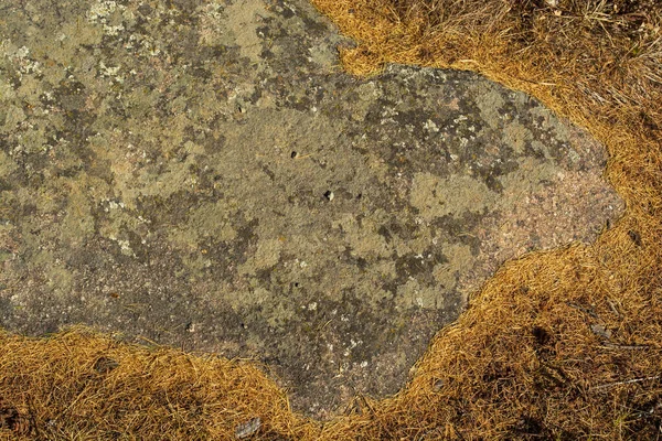 Textura Natural Uma Pedra Coberta Líquen Padrões Líquen Uma Superfície — Fotografia de Stock