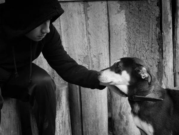 Yalnız bir köpeği okşayan bir adam.
