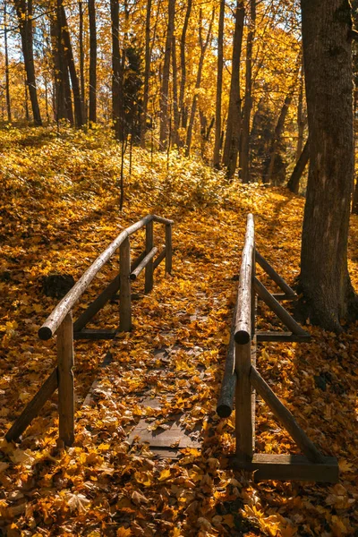 Ahşap köprüde bir güneşli sonbahar günü, turistler, dinlenme yeri, zemin sarı, portakal ağacı üzerinde romantik yürüyüş için iz bırakır, insanlar, fotoğraf seçici alan derinliği ile olmadan