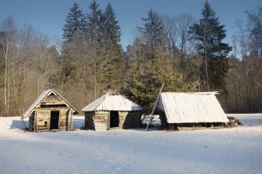 Orman, güneşli kış günü, karlı çatılar, kışın orman kenarında karlı ormandaki ahşap yolu
