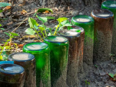 Dekoratif çevre dostu kenar olarak eski şişelerin yaratıcı kullanımı.
