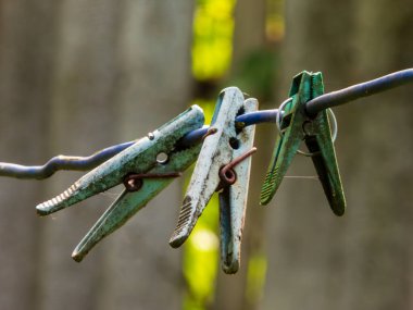 Üç yıpranmış mandalın yakın plan çekimi..