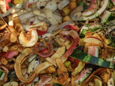 Canlı, renkli organik atıkların makro görüntüsü gübrelemeye hazır..