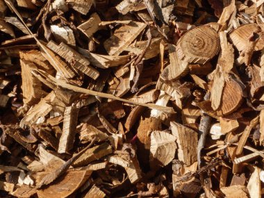 Ahşap kırıntıları ve talaşlar doğal bir soyut arkaplan oluşturuyor..