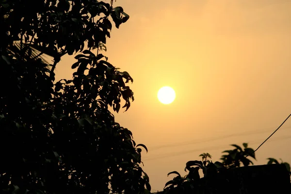 Прекрасное Солнце Небе Затененными Деревьями — стоковое фото