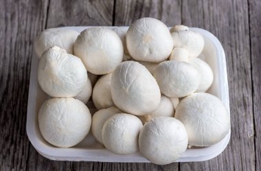 Tahta arka planda beyaz bir kapta yakın plan çekimde şampiyon mantarları.