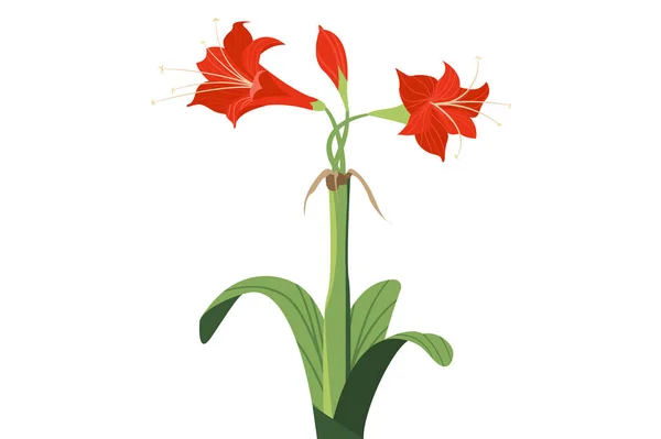 Belle Fleur Tropicale Pétales Rouges Aux Feuilles Vertes Illustration Vectorielle — Image vectorielle
