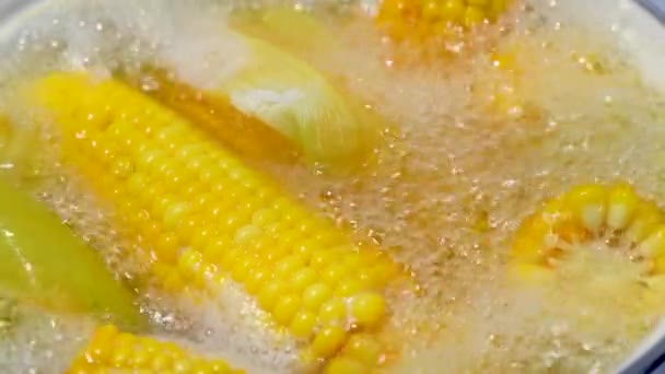 Kukuřice Vaří Vroucí Vodě Zpomalený Pohyb — Stock video