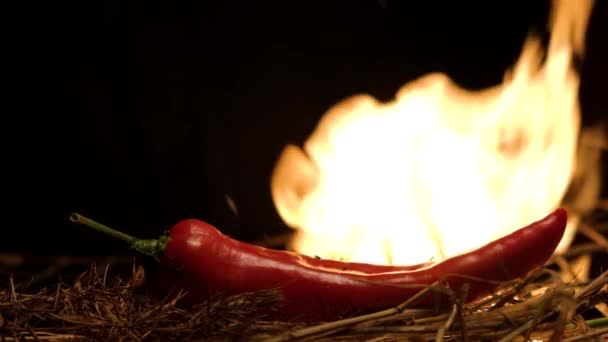 火の炎の中で唐辛子の赤 スローモーション — ストック動画