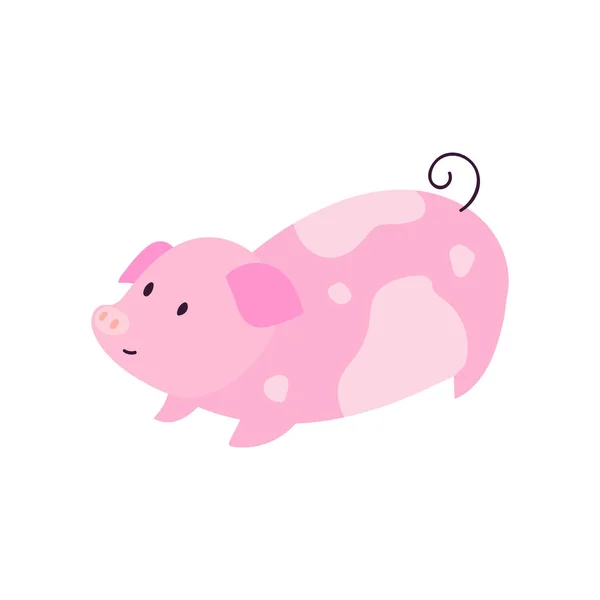 Simbol 2019 karakter babi kecil yang lucu - Stok Vektor