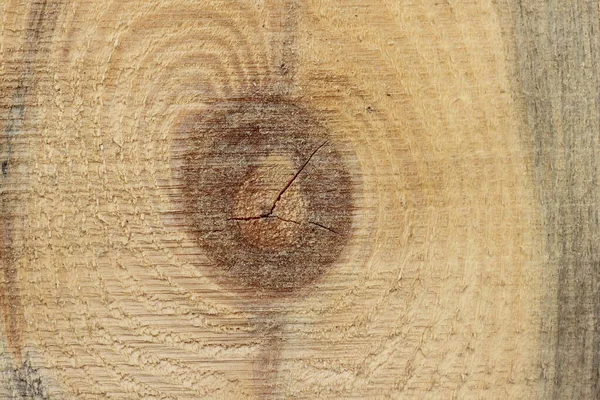 何年もの円を持つ木材の放射線カット — ストック写真