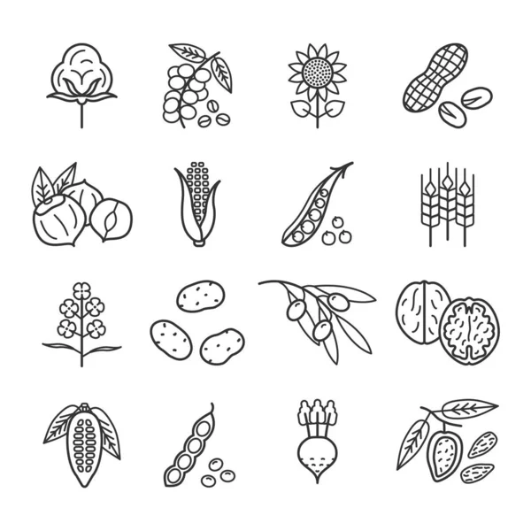 Набор линейных иконок сельскохозяйственных товаров растительного происхождения — стоковый вектор