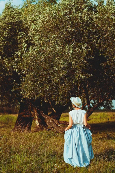 Giovane Elegante Signora Felice Abito Blu Passeggiando Nella Natura — Foto Stock