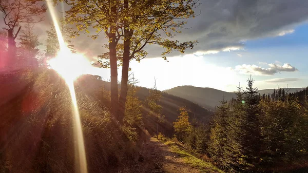 Pôr Sol Outono Montanhas Przegibek — Fotografia de Stock