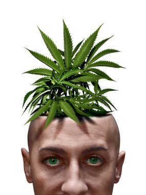 uyuşturucu bağımlılığı ve esrar bağımlılığı