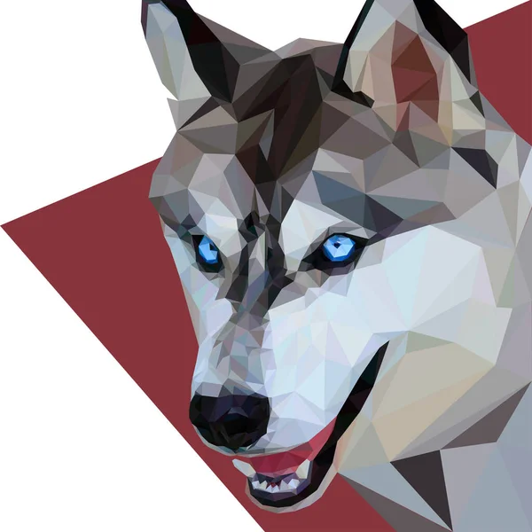 Husky Köpeği Portresi Low Poly Vektör Illüstrasyonu — Stok Vektör