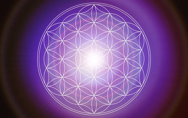 soyut yaşam çiçeği mandala arka planı