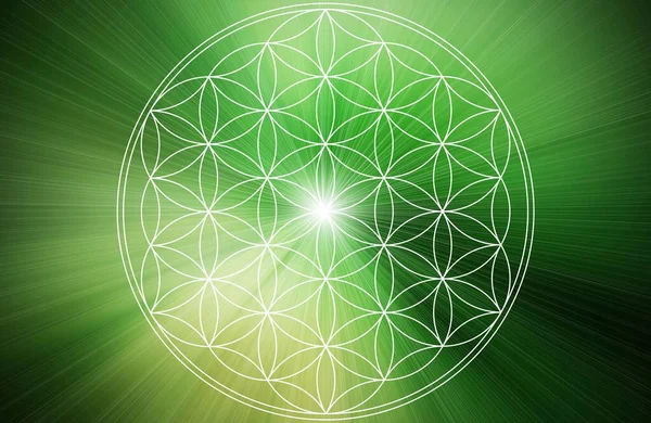 soyut yaşam çiçeği mandala arka planı