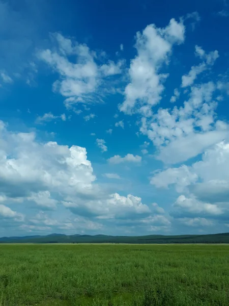 Fotografie Letního Dne Scéna Krajina Horami Pokryté Borovicemi Lesy Zelená — Stock fotografie