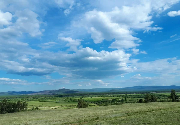 Fotografie Vrcholu Kopce Malebném Výhledu Zelené Louky Borovice Pod Jasně — Stock fotografie