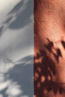 Çiçek Ağacı Yaprakları ve Dalları Gölgeli Beyaz Kırmızı Boyanmış Duvar Arkaplanı