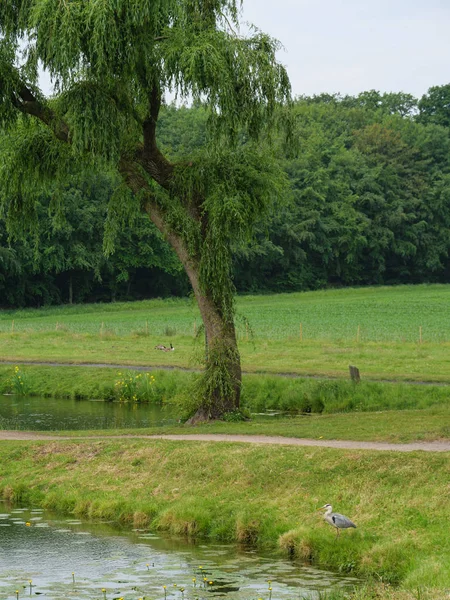 Raesfeld Slott Tyskland — Stockfoto